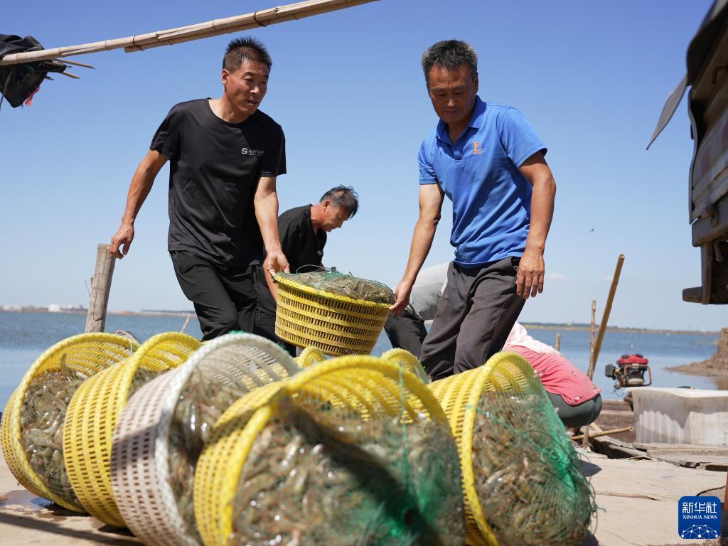 金沙游戏总站6165
